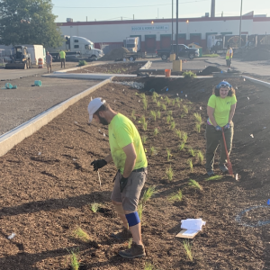 Natural Community Services Works to Reclaim Ecological Health in Southeast Michigan